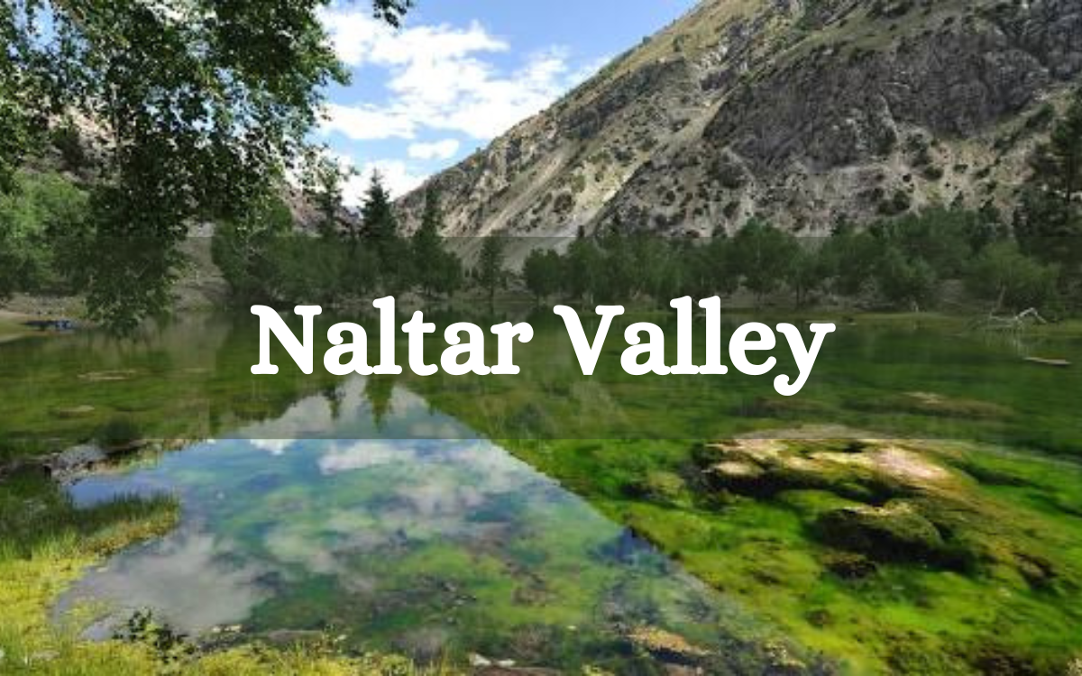 Naltar Valley